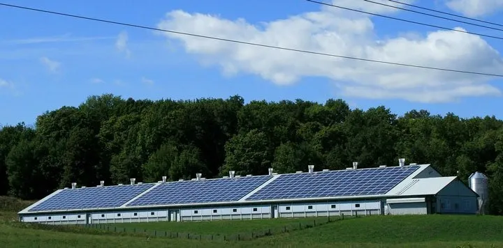 hangar photovoltaïque agricole panneaux solaires
